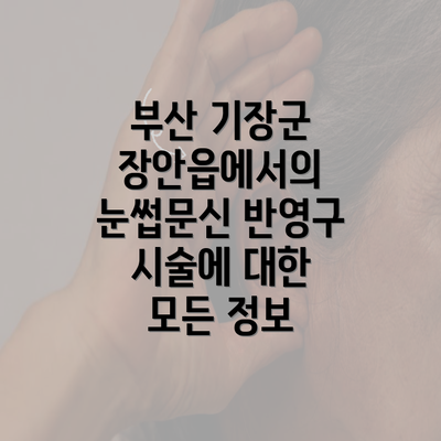 부산 기장군 장안읍에서의 눈썹문신 반영구 시술에 대한 모든 정보