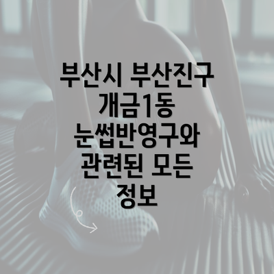 부산시 부산진구 개금1동 눈썹반영구와 관련된 모든 정보