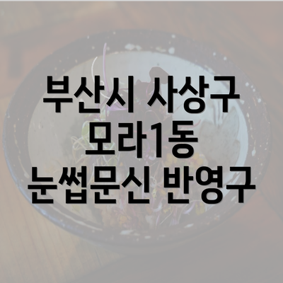 부산시 사상구 모라1동 눈썹문신 반영구