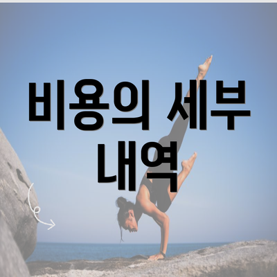 비용의 세부 내역