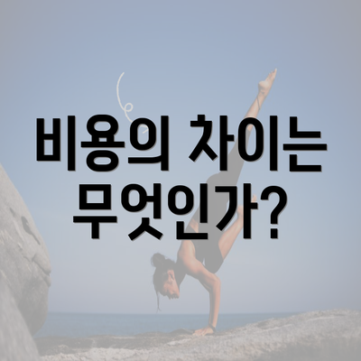 비용의 차이는 무엇인가?