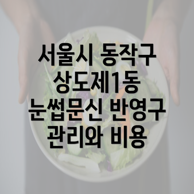 서울시 동작구 상도제1동 눈썹문신 반영구 관리와 비용