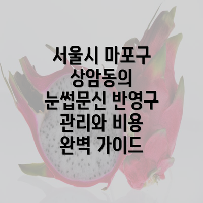 서울시 마포구 상암동의 눈썹문신 반영구 관리와 비용 완벽 가이드