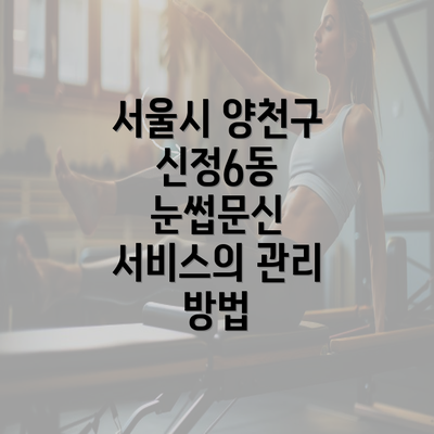 서울시 양천구 신정6동 눈썹문신 서비스의 관리 방법