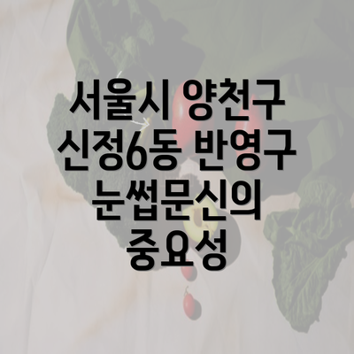 서울시 양천구 신정6동 반영구 눈썹문신의 중요성