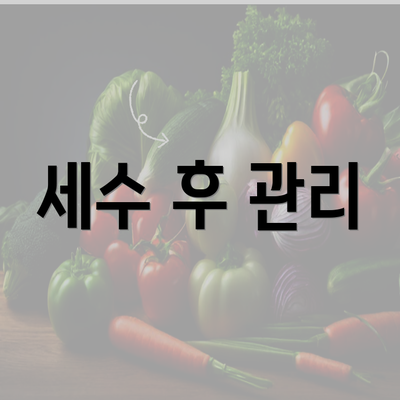 세수 후 관리