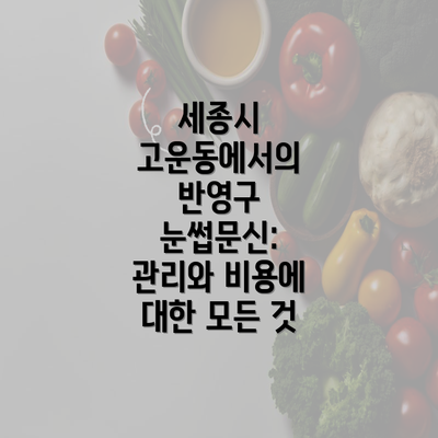 세종시 고운동에서의 반영구 눈썹문신: 관리와 비용에 대한 모든 것