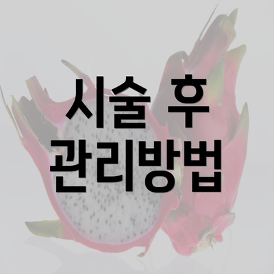 시술 후 관리방법