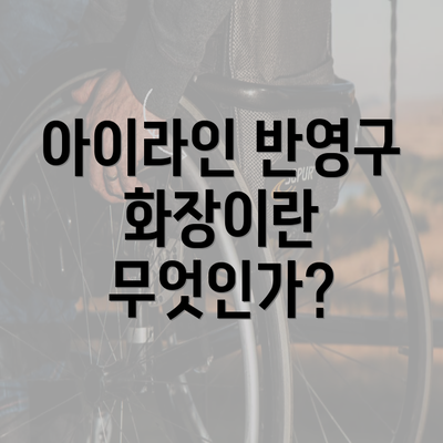 아이라인 반영구 화장이란 무엇인가?