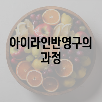 아이라인반영구의 과정