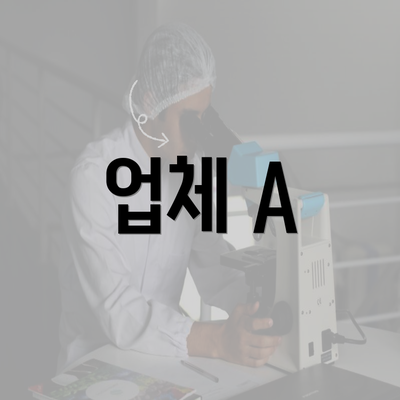 업체 A