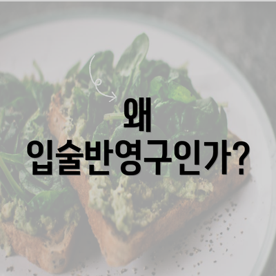 왜 입술반영구인가?