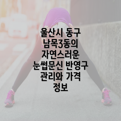 울산시 동구 남목3동의 자연스러운 눈썹문신 반영구 관리와 가격 정보