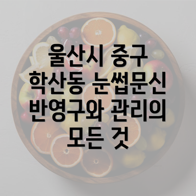 울산시 중구 학산동 눈썹문신 반영구와 관리의 모든 것