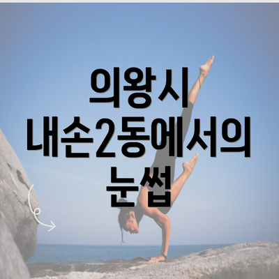 의왕시 내손2동에서의 눈썹