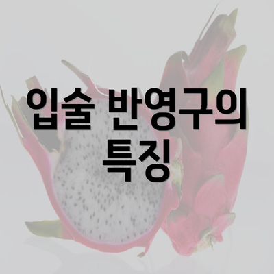 입술 반영구의 특징