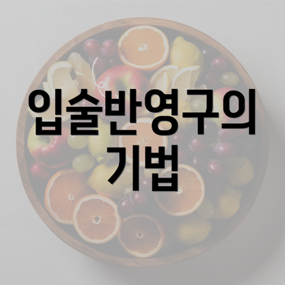 입술반영구의 기법