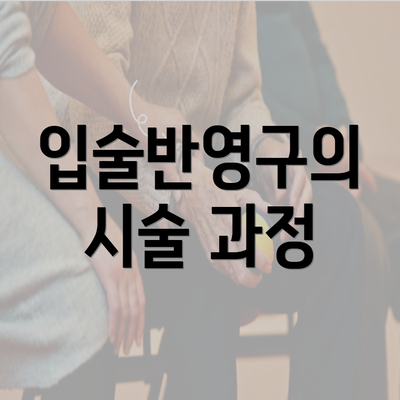 입술반영구의 시술 과정