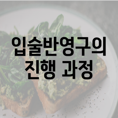 입술반영구의 진행 과정