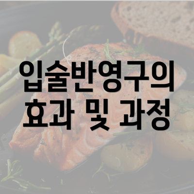 입술반영구의 효과 및 과정