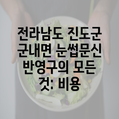 전라남도 진도군 군내면 눈썹문신 반영구의 모든 것: 비용