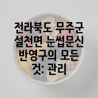 전라북도 무주군 설천면 눈썹문신 반영구의 모든 것: 관리