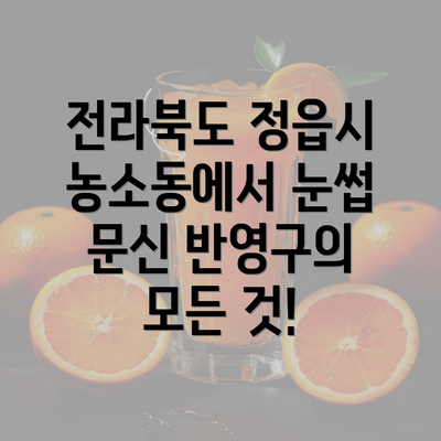 전라북도 정읍시 농소동에서 눈썹 문신 반영구의 모든 것!