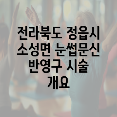 전라북도 정읍시 소성면 눈썹문신 반영구 시술 개요