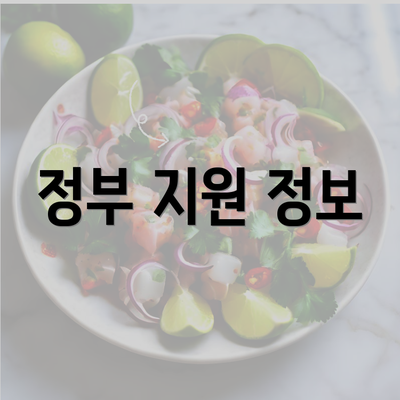 정부 지원 정보