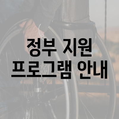 정부 지원 프로그램 안내