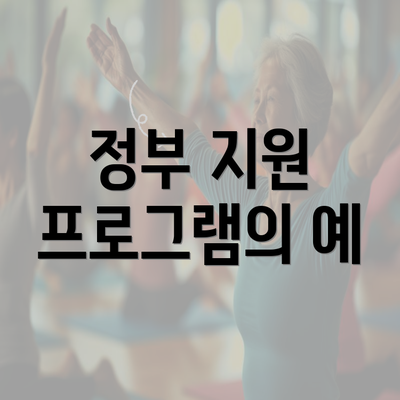 정부 지원 프로그램의 예