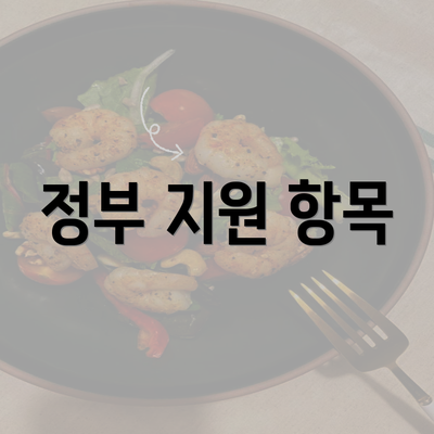 정부 지원 항목