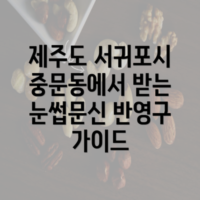 제주도 서귀포시 중문동에서 받는 눈썹문신 반영구 가이드