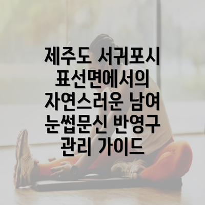 제주도 서귀포시 표선면에서의 자연스러운 남여 눈썹문신 반영구 관리 가이드