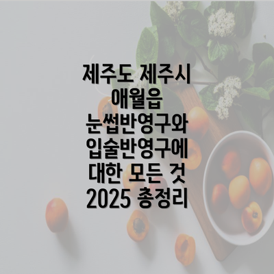 제주도 제주시 애월읍 눈썹반영구와 입술반영구에 대한 모든 것 2025 총정리