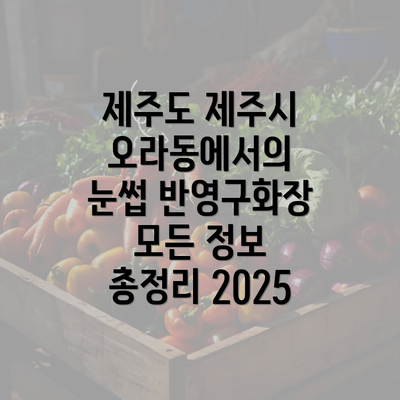 제주도 제주시 오라동에서의 눈썹 반영구화장 모든 정보 총정리 2025