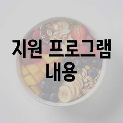 지원 프로그램 내용