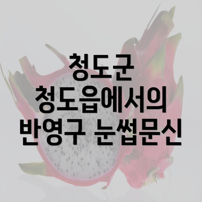 청도군 청도읍에서의 반영구 눈썹문신