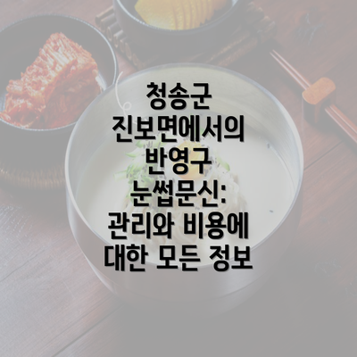 청송군 진보면에서의 반영구 눈썹문신: 관리와 비용에 대한 모든 정보