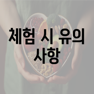 체험 시 유의 사항