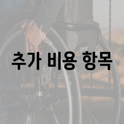 추가 비용 항목