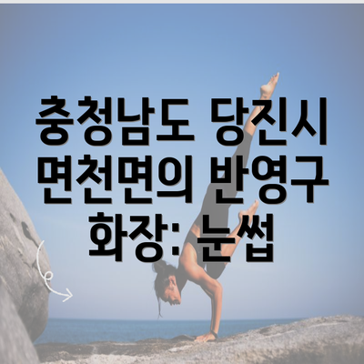 충청남도 당진시 면천면의 반영구 화장: 눈썹