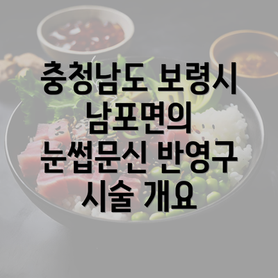 충청남도 보령시 남포면의 눈썹문신 반영구 시술 개요