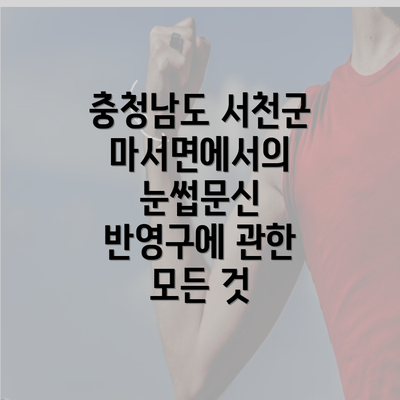 충청남도 서천군 마서면에서의 눈썹문신 반영구에 관한 모든 것