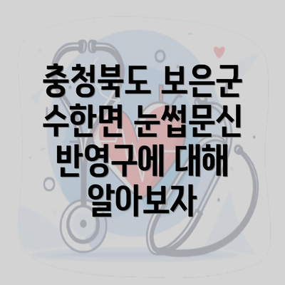 충청북도 보은군 수한면 눈썹문신 반영구에 대해 알아보자