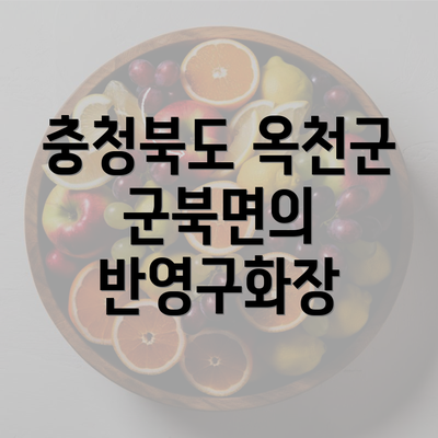 충청북도 옥천군 군북면의 반영구화장