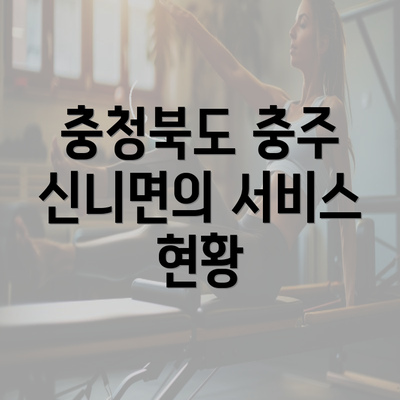 충청북도 충주 신니면의 서비스 현황