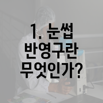 1. 눈썹 반영구란 무엇인가?