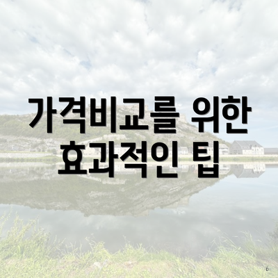 가격비교를 위한 효과적인 팁