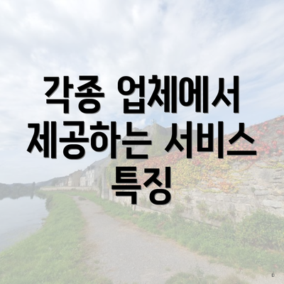 각종 업체에서 제공하는 서비스 특징